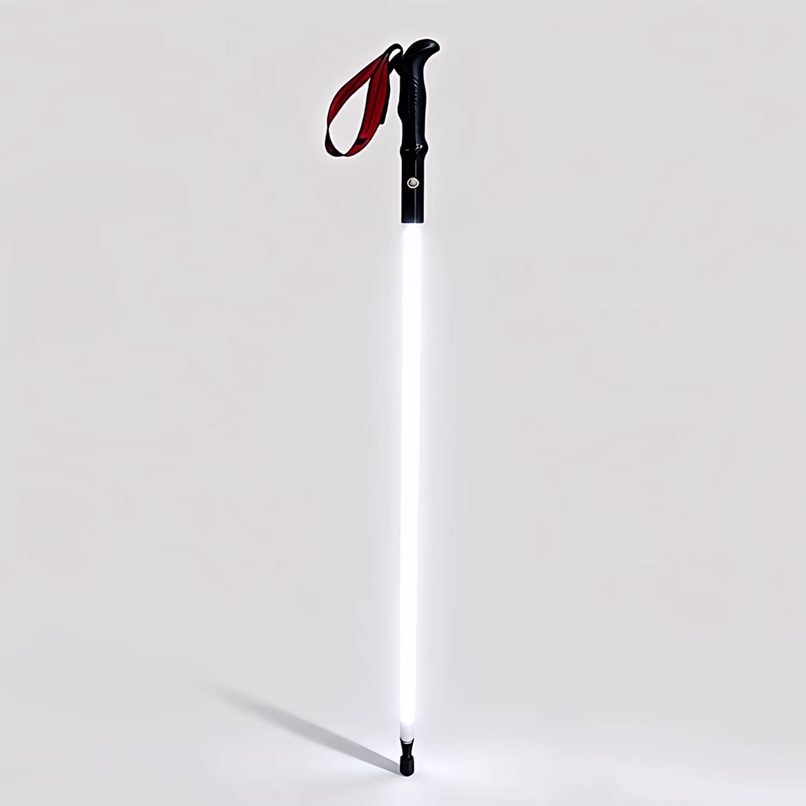 Trekking Pole