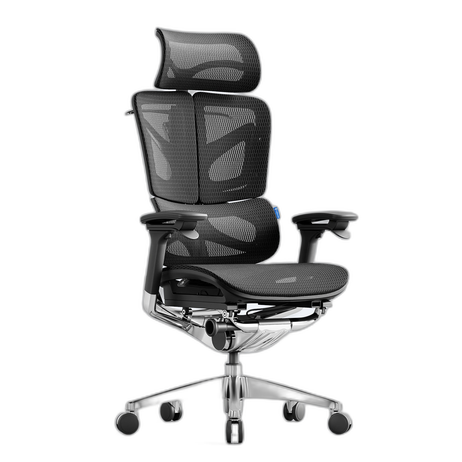 Ergonomic Chair